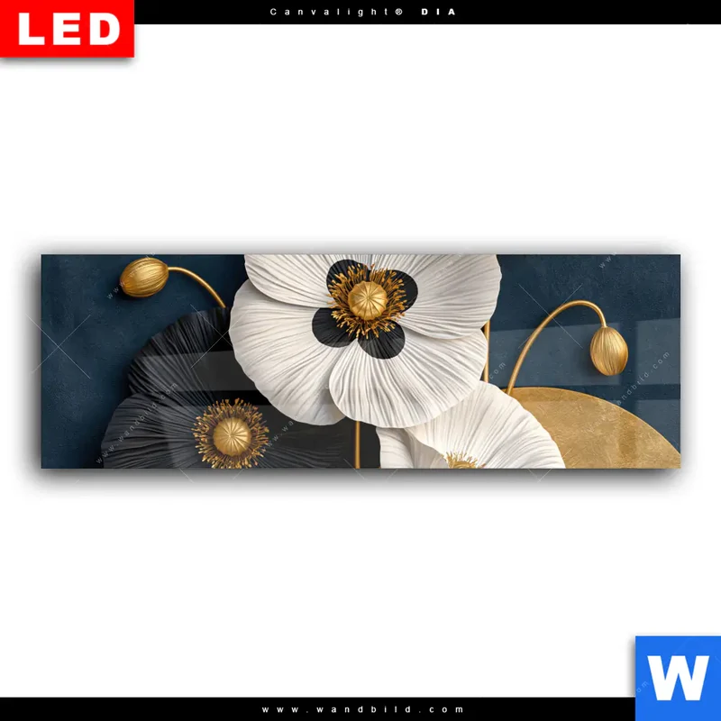 Wechselmotiv Acrylglas Canvalight® DIA | Golden Poppies | Panorama