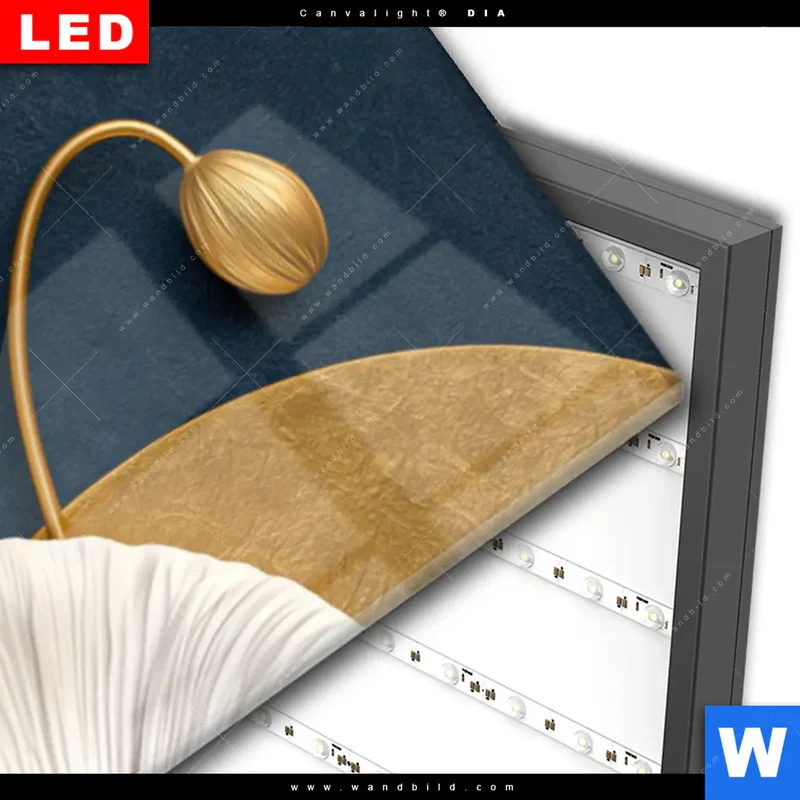 Wechselmotiv Acrylglas Canvalight® DIA | Golden Poppies | Panorama