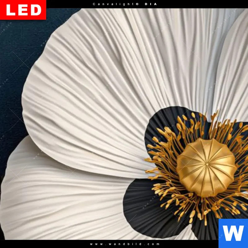 Wechselmotiv Acrylglas Canvalight® DIA | Golden Poppies | Panorama