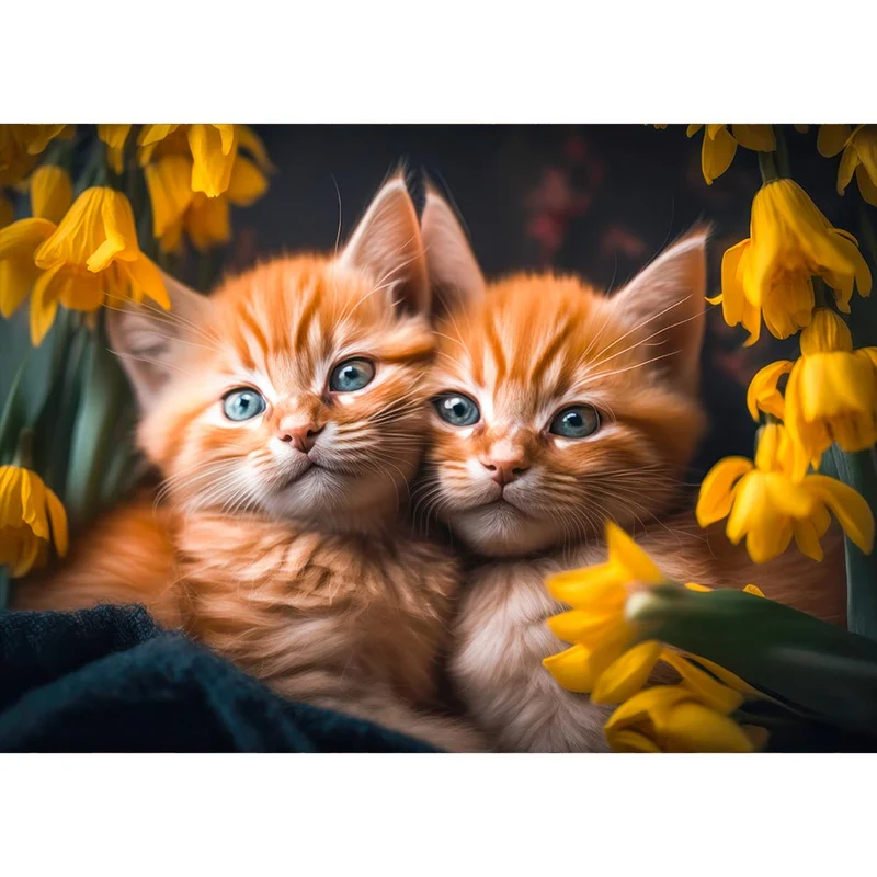5D Diamond Painting – Baby Katzen