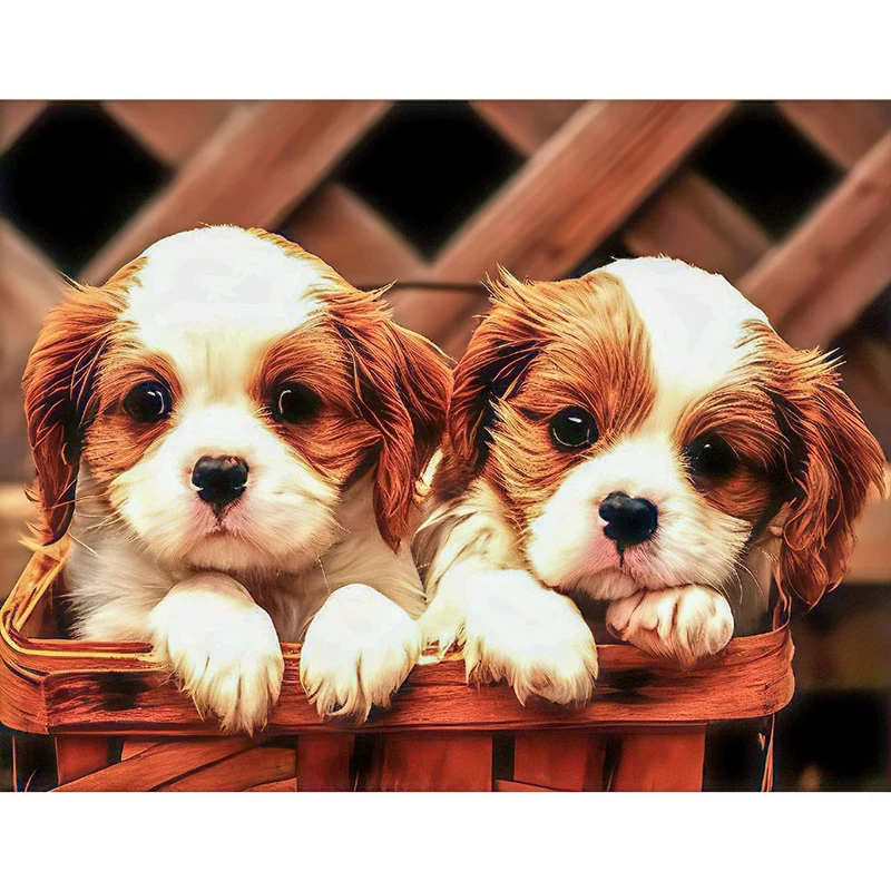 5D Diamond Painting – Zwei süße Hundewelpen