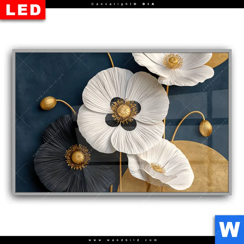 Leuchtbild Acrylglas Canvalight® DIA | Golden Poppies | Querformat