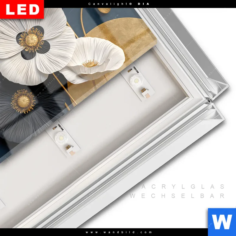 Leuchtbild Acrylglas Canvalight® DIA | Golden Poppies | Querformat