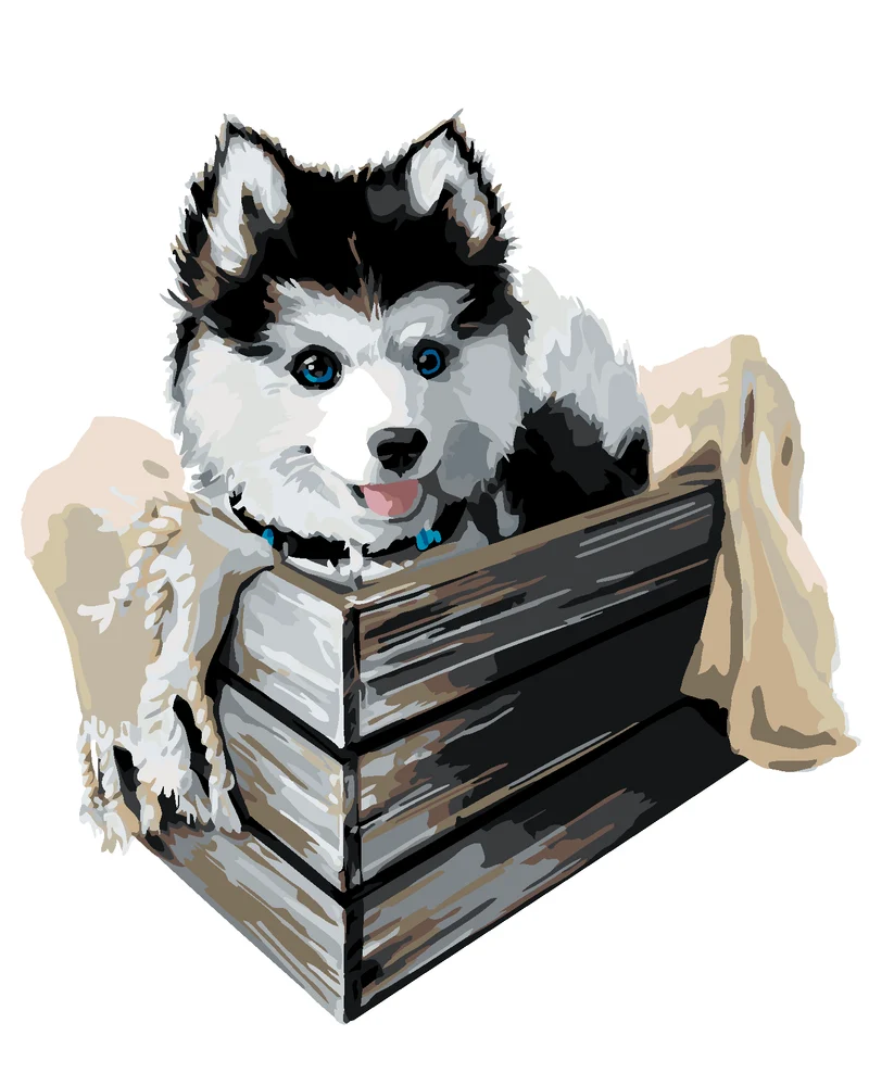 Diamond painting - HUSKY IN EINER KISTE