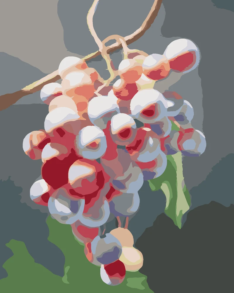 Diamond painting - WEINTRAUBEN 2 (MYROSLAVA VOLOSCHUK)