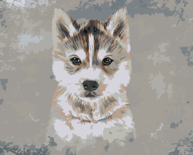 Diamond painting - HUSKY AUF DEM GRAUEN HINTERGRUND