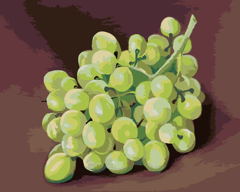 Diamond painting - WEINTRAUBEN (MYROSLAVA VOLOSCHUK)