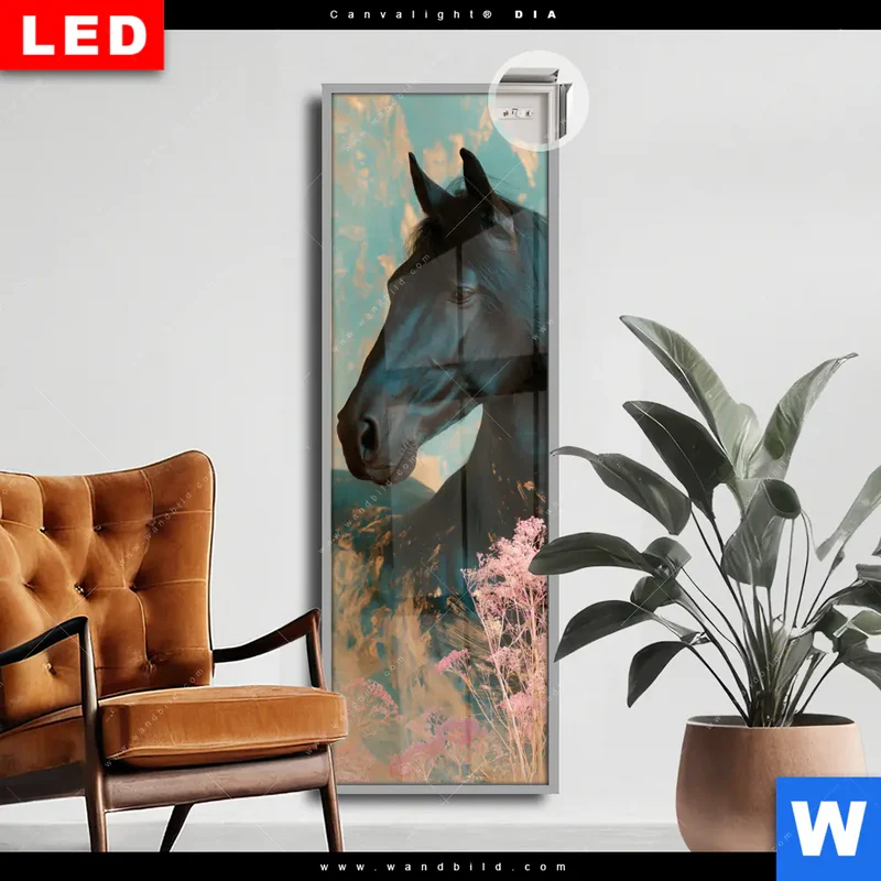 Leuchtbild Acrylglas Canvalight® DIA | Schwarzes Pferd im Blütenmeer | Schmal