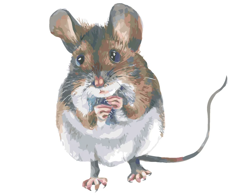 Diamond painting - EINE BRAUNE MAUS