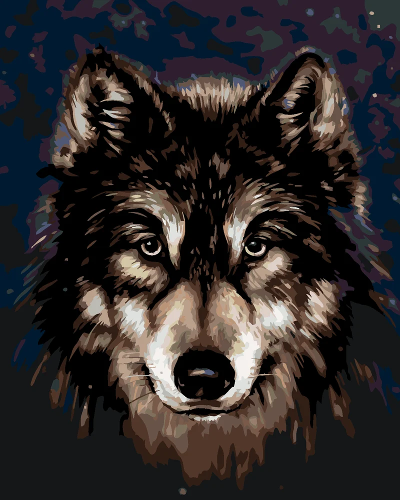 Diamond painting - HUSKYKOPF AUF DEM DUNKELEN HINTERGRUND