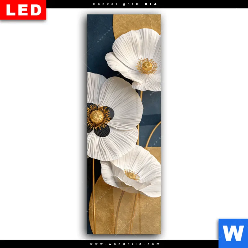 Wechselmotiv Acrylglas Canvalight® DIA | Golden Poppies | Schmal