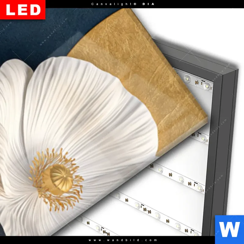 Wechselmotiv Acrylglas Canvalight® DIA | Golden Poppies | Schmal