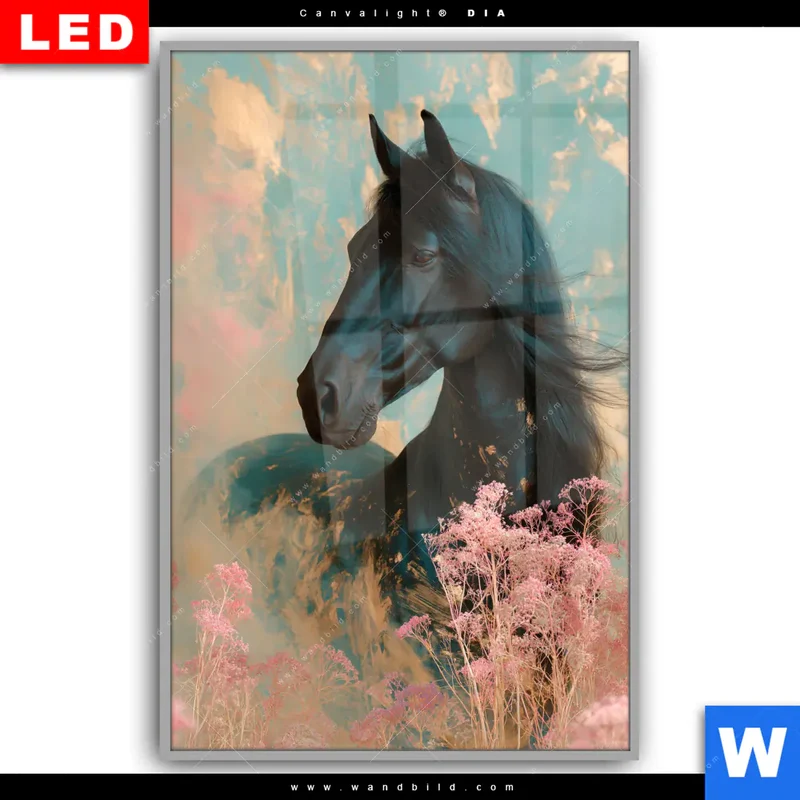 Leuchtbild Acrylglas Canvalight® DIA | Schwarzes Pferd im Blütenmeer | Hochformat