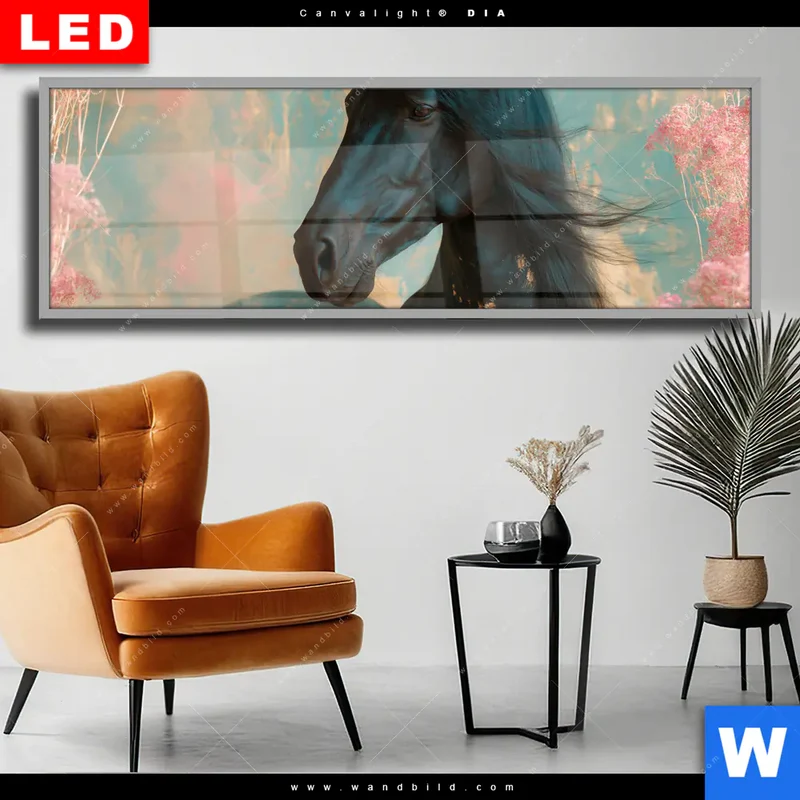 Wechselmotiv Acrylglas Canvalight® DIA | Schwarzes Pferd im Blütenmeer | Panorama