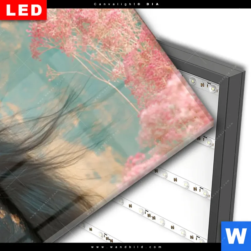 Wechselmotiv Acrylglas Canvalight® DIA | Schwarzes Pferd im Blütenmeer | Panorama
