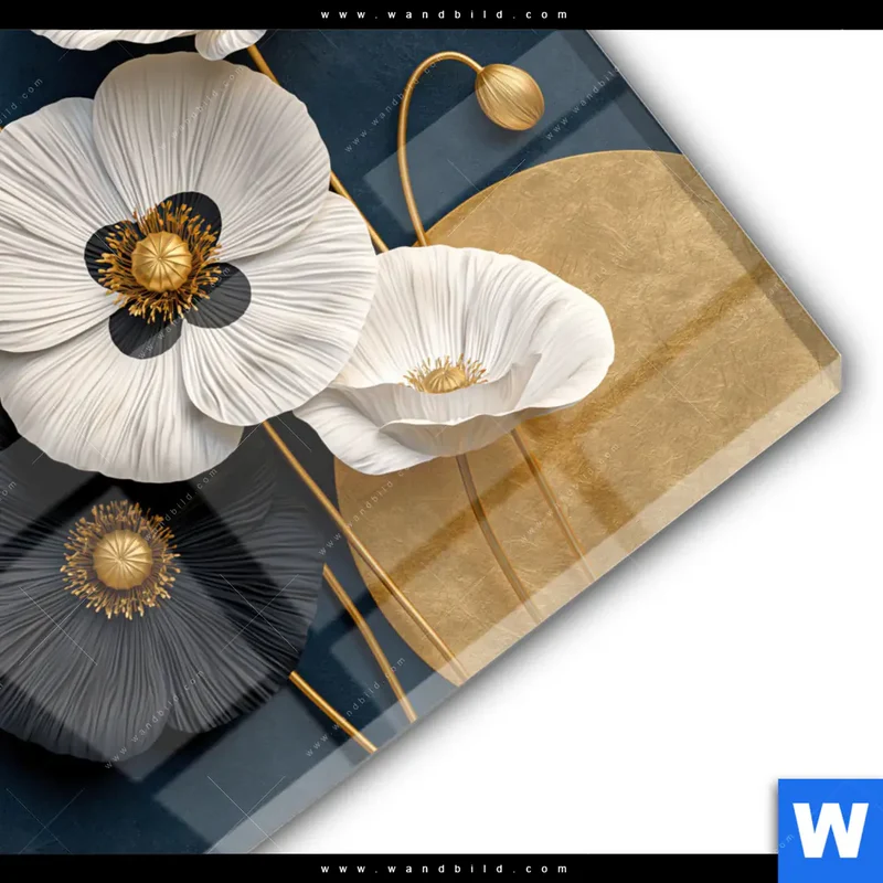 Acrylglasbild | Golden Poppies | Rund