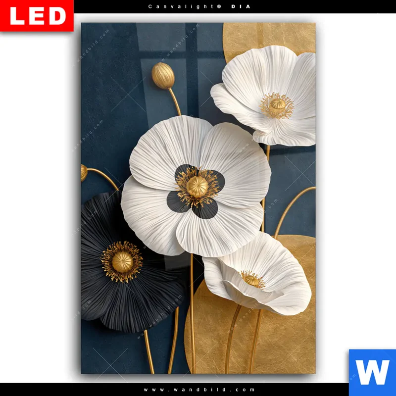 Wechselmotiv Acrylglas Canvalight® DIA | Golden Poppies | Hochformat