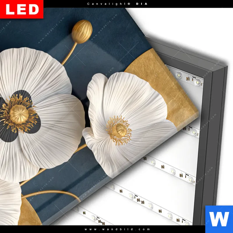 Wechselmotiv Acrylglas Canvalight® DIA | Golden Poppies | Hochformat