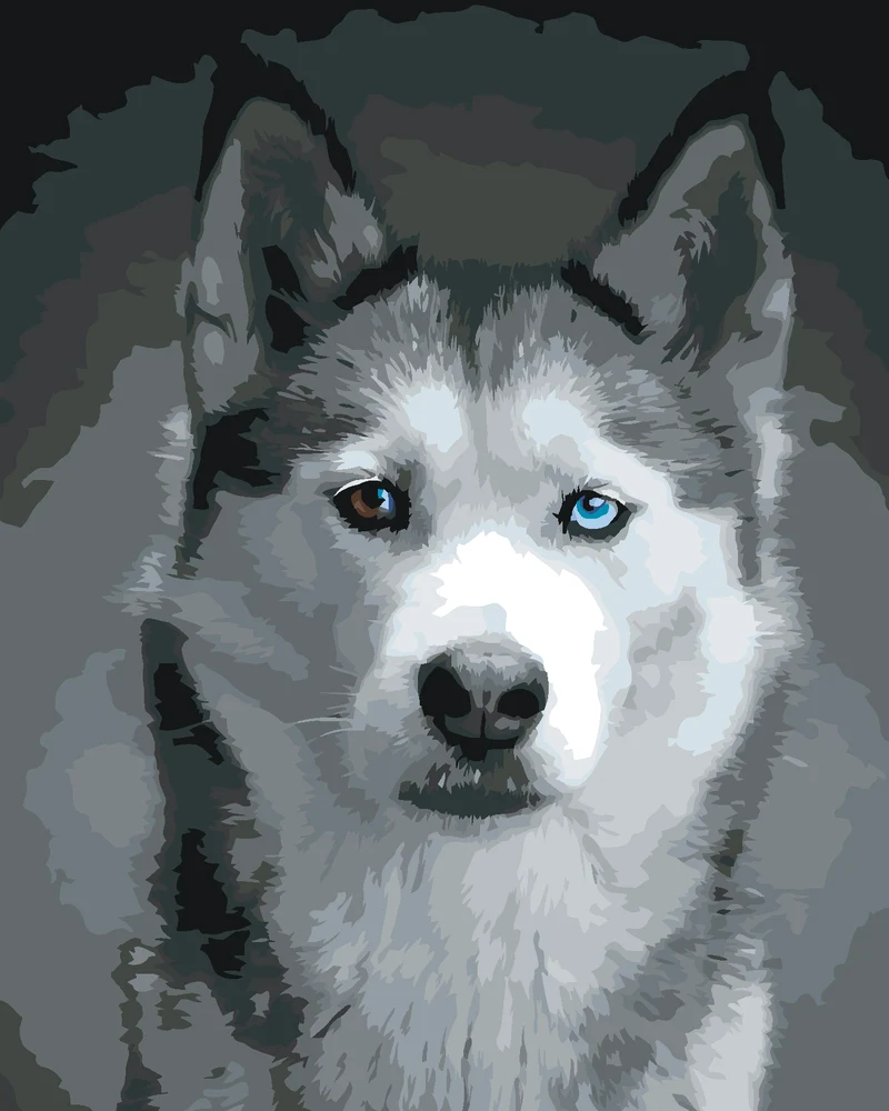 Diamond painting - KOPF EINES HUSKYS