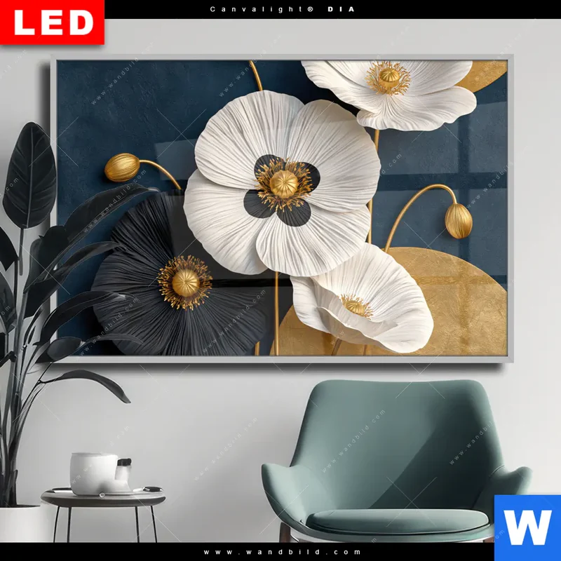 Wechselmotiv Acrylglas Canvalight® DIA | Golden Poppies | Querformat