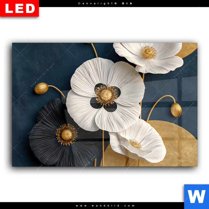 Wechselmotiv Acrylglas Canvalight® DIA | Golden Poppies | Querformat
