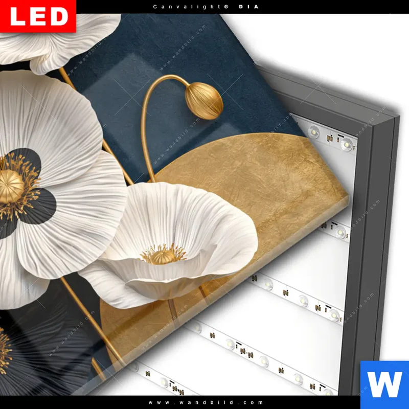 Wechselmotiv Acrylglas Canvalight® DIA | Golden Poppies | Querformat