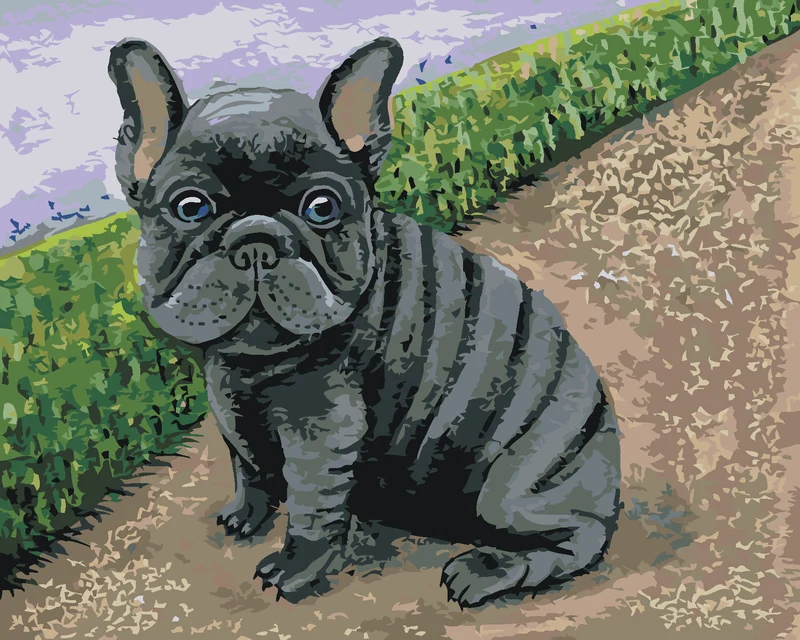 Diamond painting - FRANZÖSISCHE BULLDOGGE