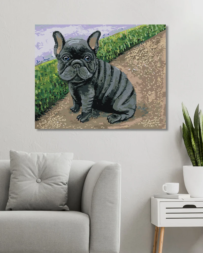 Diamond painting - FRANZÖSISCHE BULLDOGGE