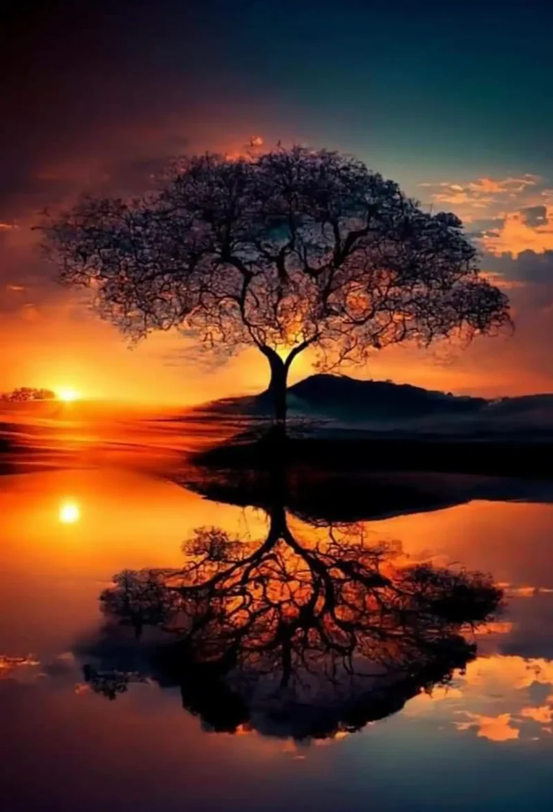 Diamond Painting - Baum im Sonnenuntergang