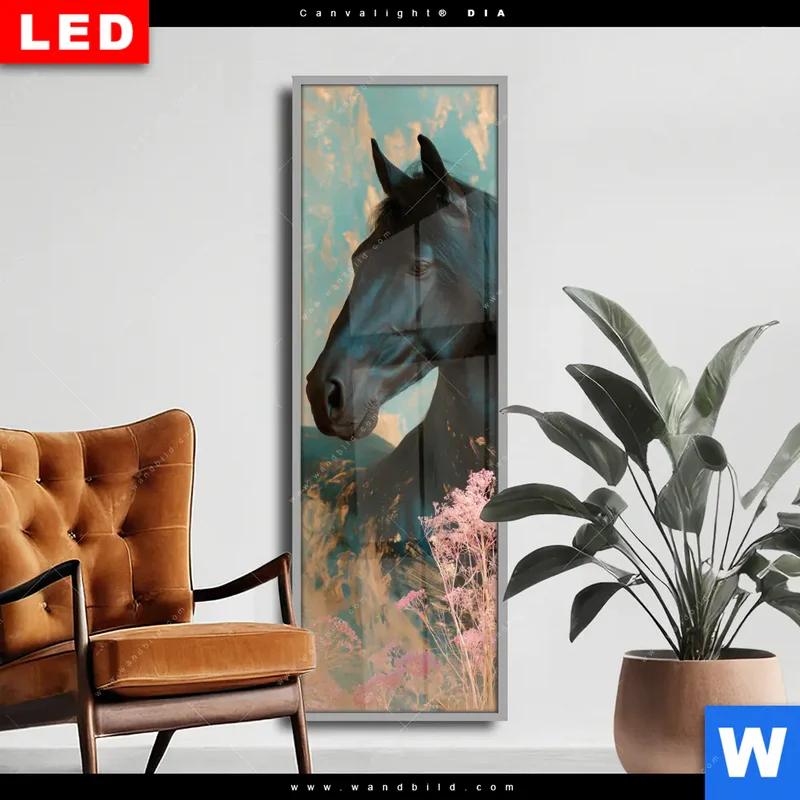 Wechselmotiv Acrylglas Canvalight® DIA | Schwarzes Pferd im Blütenmeer | Schmal