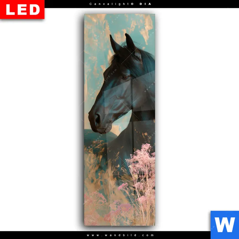 Wechselmotiv Acrylglas Canvalight® DIA | Schwarzes Pferd im Blütenmeer | Schmal