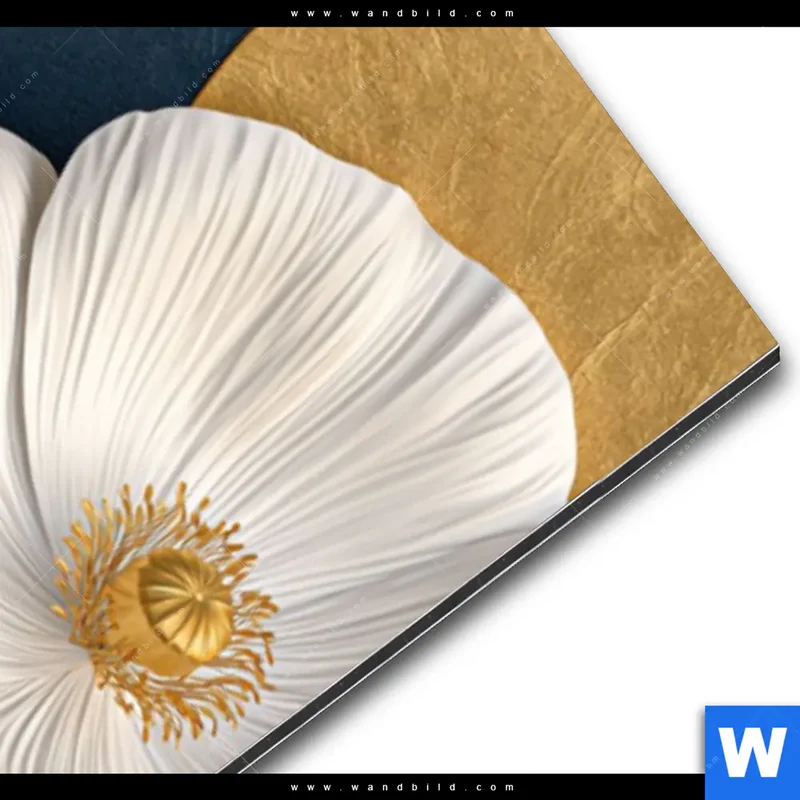 Alu-Dibond Bild | Golden Poppies | Schmal