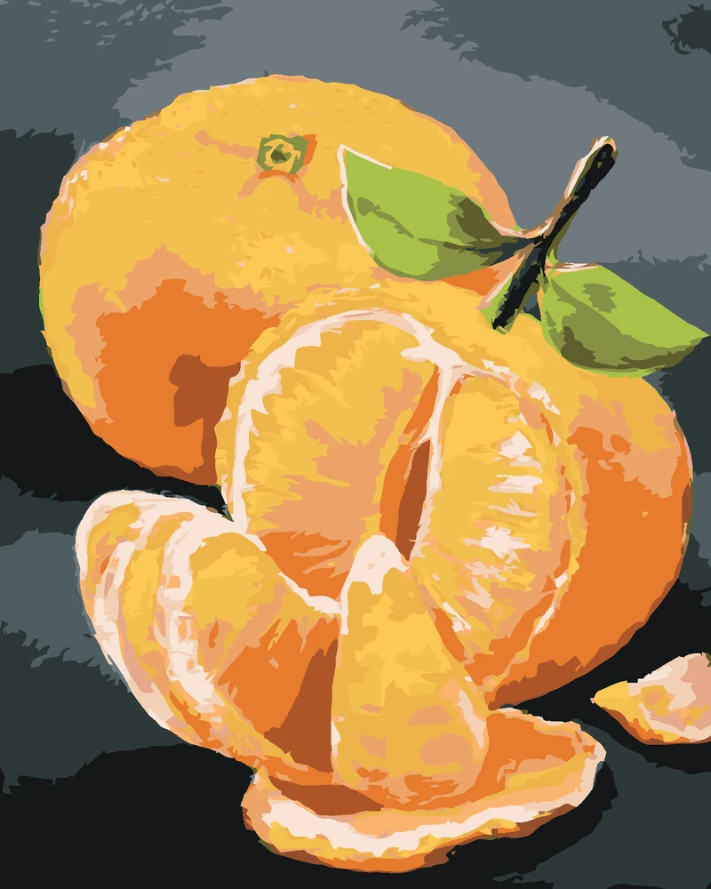 Diamond painting - ZWEI ORANGEN (MYROSLAVA VOLOSCHUK)