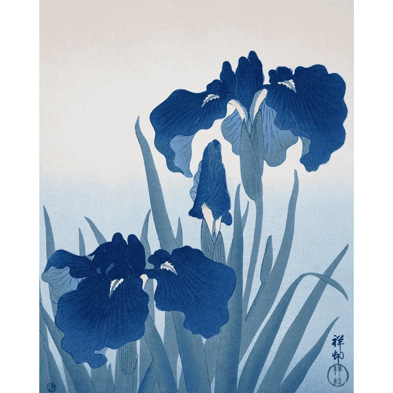 Schwertlilien - Ohara Koson