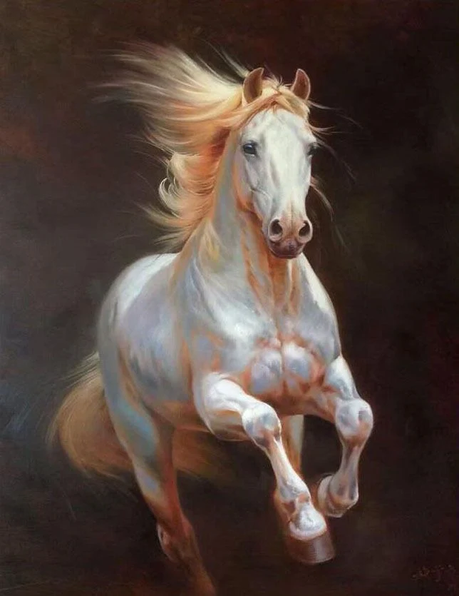 Animals PIX-2403