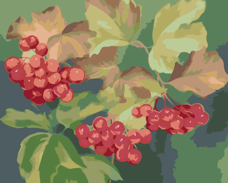 Diamond painting - ROTE JOHANNISBEEREN (MYROSLAVA VOLOSCHUK)