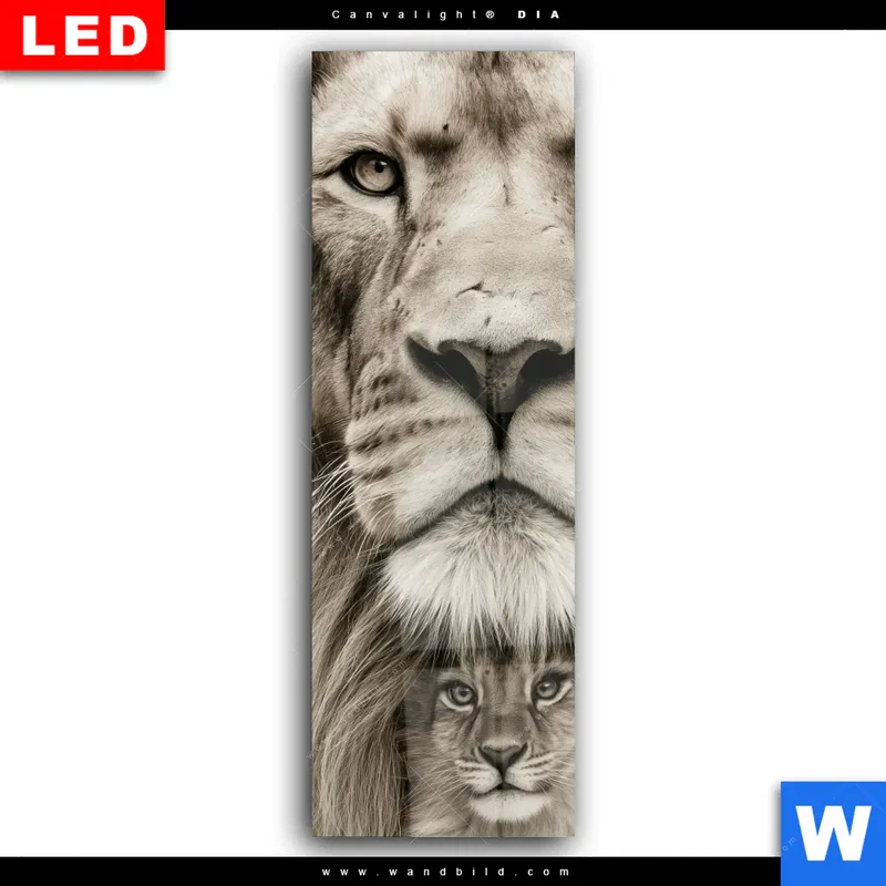 Wechselmotiv Acrylglas Canvalight® DIA | Löwenstolz – Vater und Junges | Schmal