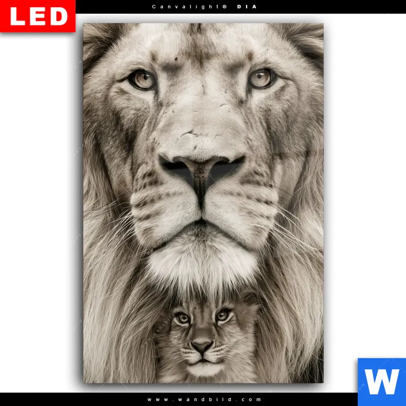 Wechselmotiv Acrylglas Canvalight® DIA | Löwenstolz – Vater und Junges | Hochformat