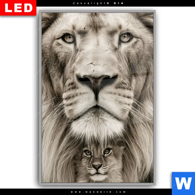 Leuchtbild Acrylglas Canvalight® DIA | Löwenstolz – Vater und Junges | Hochformat