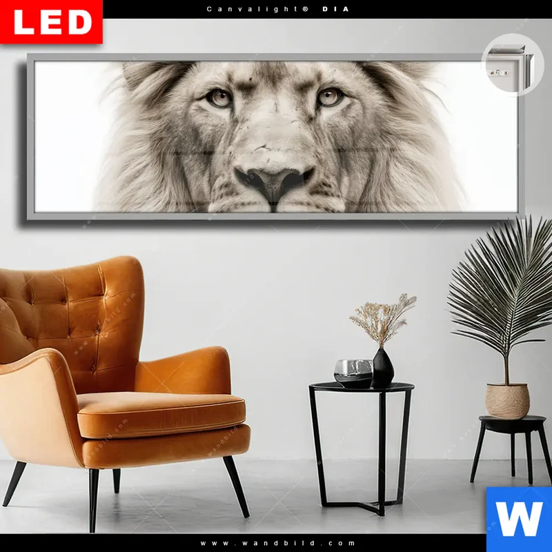 Leuchtbild Acrylglas Canvalight® DIA | Löwenstolz – Vater und Junges | Panorama