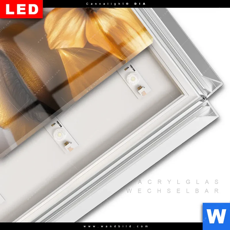 Leuchtbild Acrylglas Canvalight® DIA | Blütenzauber auf samtenem Gesicht | Schmal