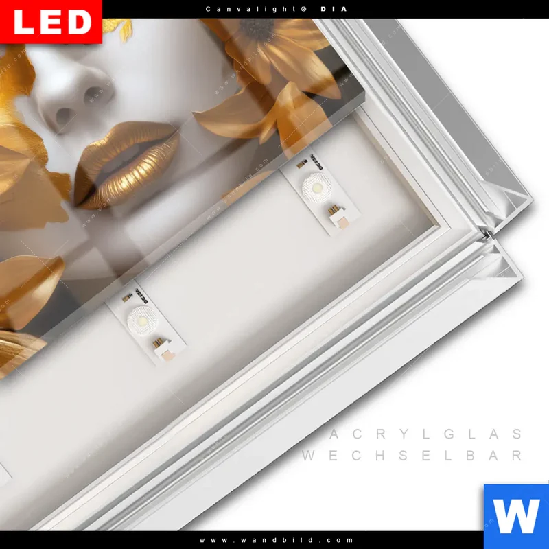 Leuchtbild Acrylglas Canvalight® DIA | Blütenzauber auf samtenem Gesicht | Querformat