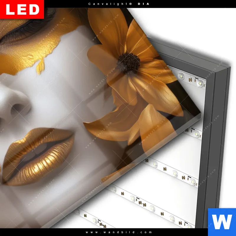 Wechselmotiv Acrylglas Canvalight® DIA | Blütenzauber auf samtenem Gesicht | Querformat