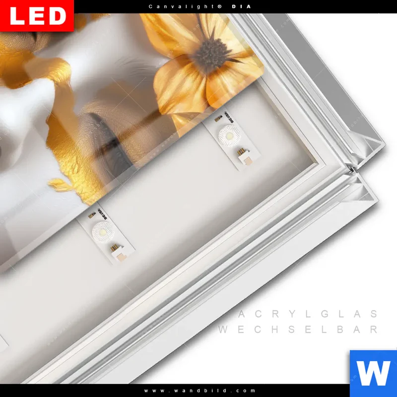 Leuchtbild Acrylglas Canvalight® DIA | Blütenzauber auf samtenem Gesicht | Hochformat