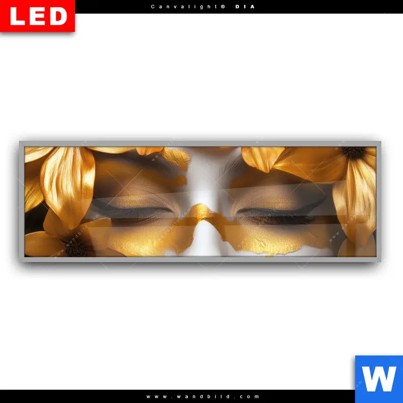Leuchtbild Acrylglas Canvalight® DIA | Blütenzauber auf samtenem Gesicht | Panorama