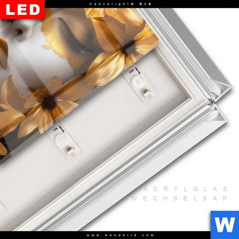 Leuchtbild Acrylglas Canvalight® DIA | Blütenzauber auf samtenem Gesicht | Quadrat