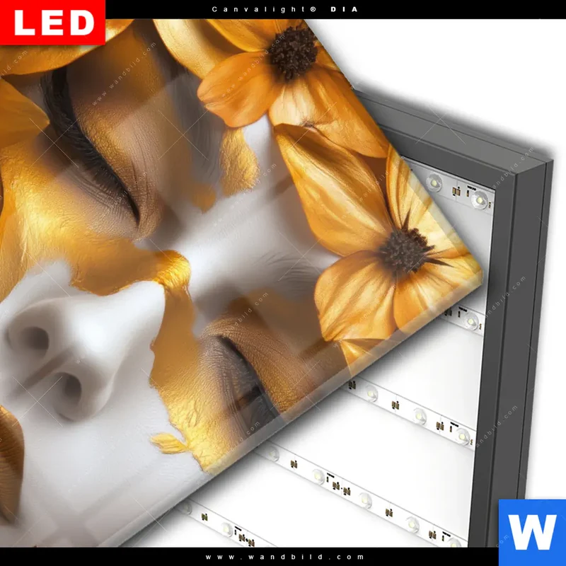 Wechselmotiv Acrylglas Canvalight® DIA | Blütenzauber auf samtenem Gesicht | Hochformat