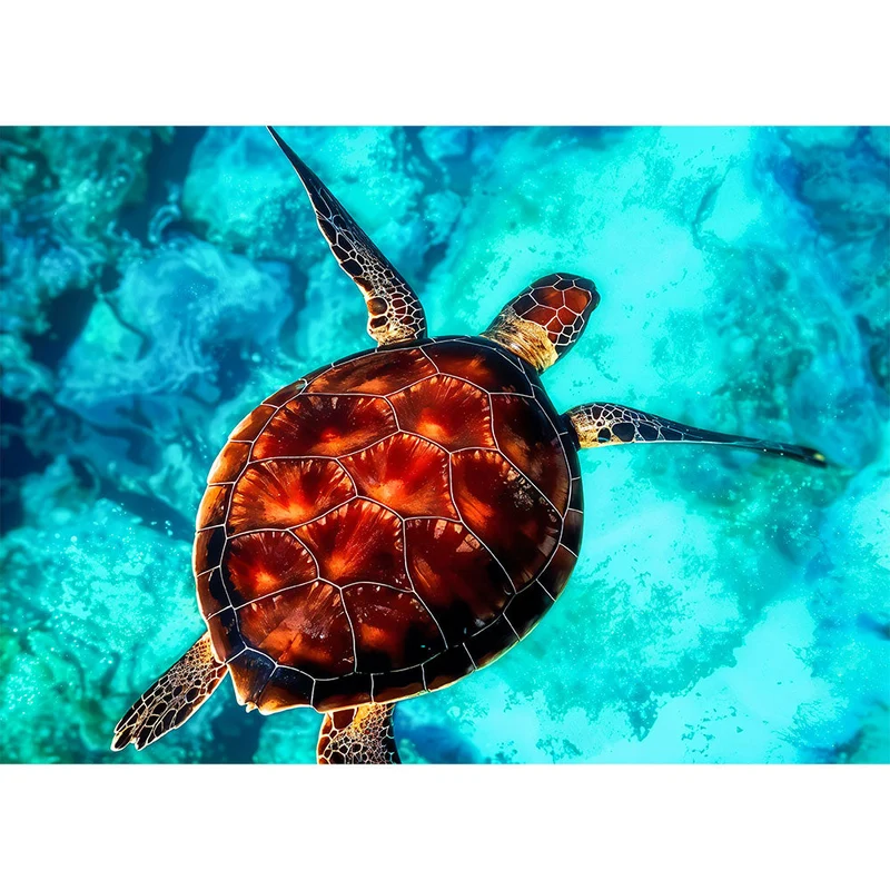 5D Diamond Painting – Ozean Schildkröte