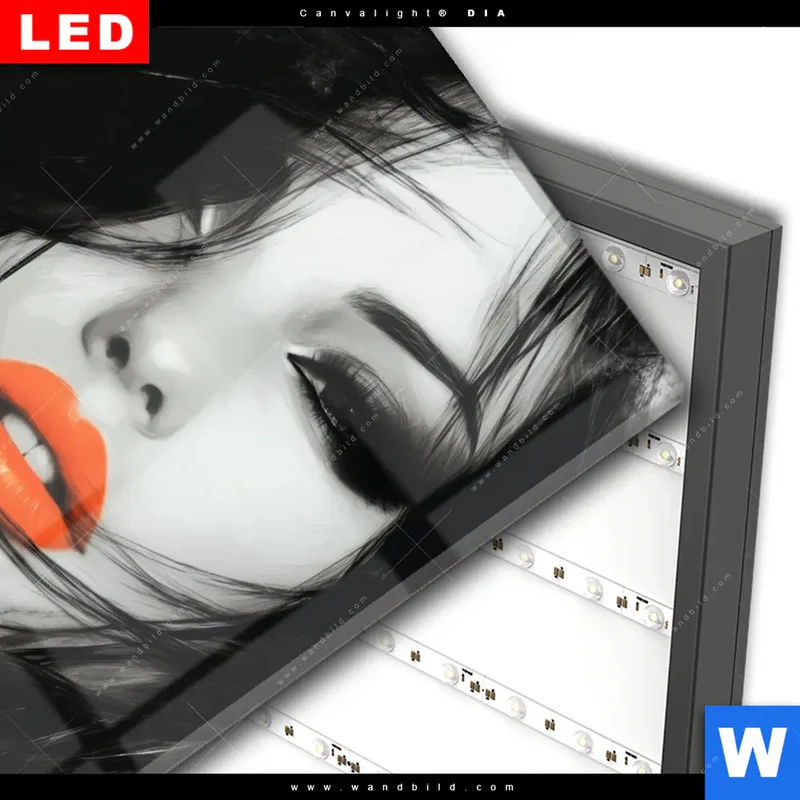Wechselmotiv Acrylglas Canvalight® DIA | Mystic Glamour | Hochformat