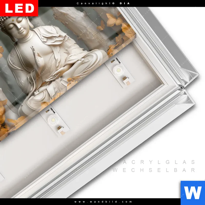 Leuchtbild Acrylglas Canvalight® DIA | Buddha – Harmonie im Wald | Querformat